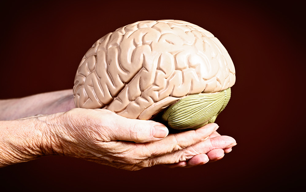 کلیدهای مقابله با پیری مغز